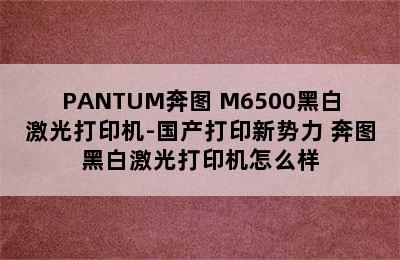 PANTUM奔图 M6500黑白激光打印机-国产打印新势力 奔图黑白激光打印机怎么样